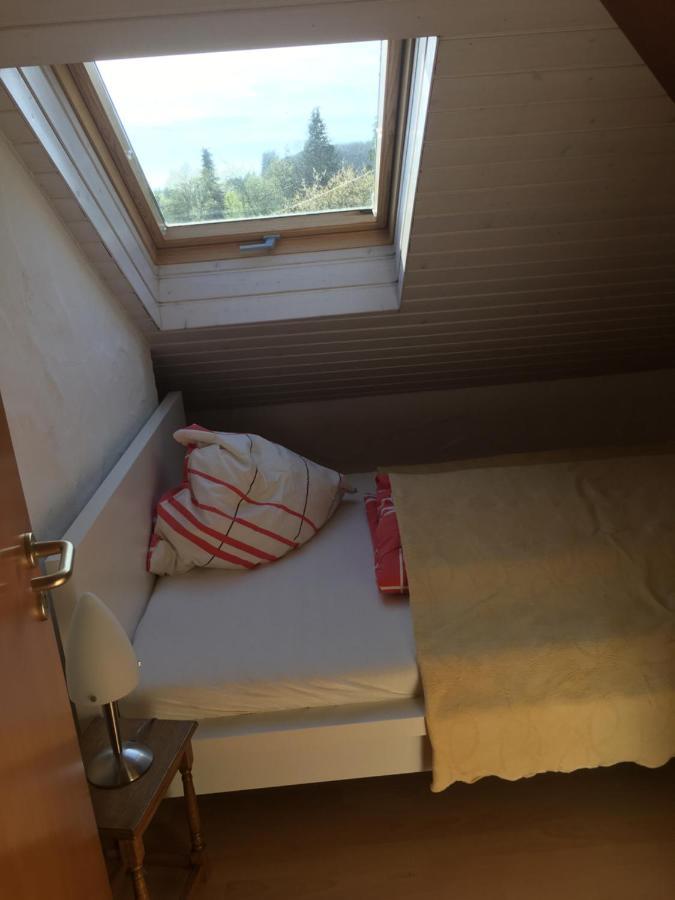 Ferienwohnung Nett Аденау Екстериор снимка